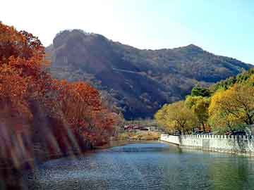 新澳天天开奖资料大全旅游团，旱冰鞋生产厂家